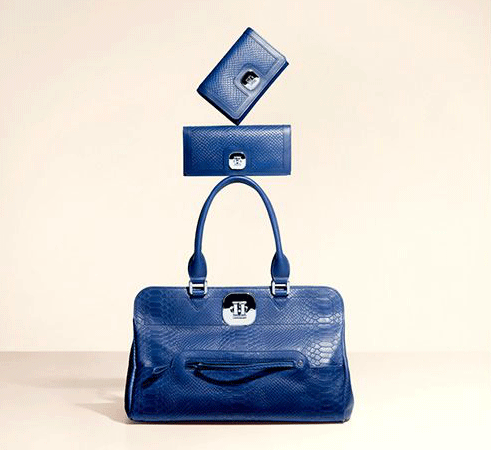 blue-it-up-longchamp-3