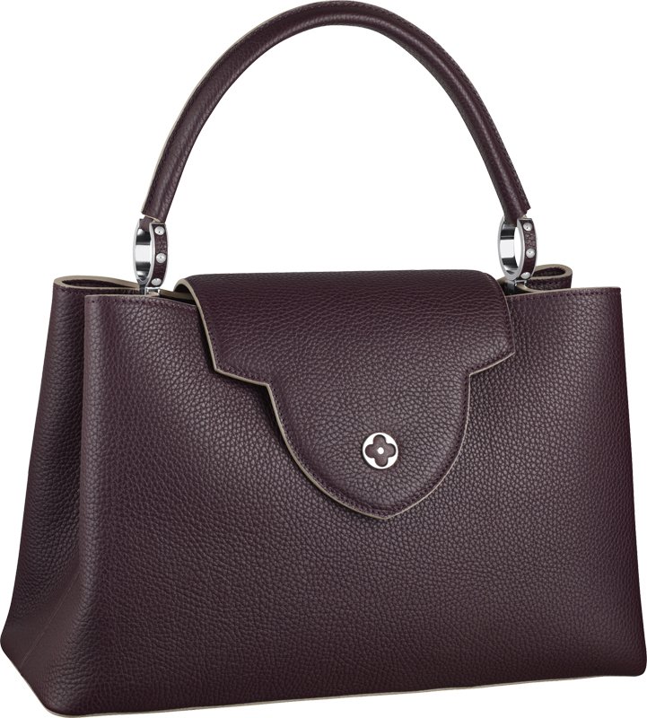 Louis-Vuitton-Capucines-Bag-2