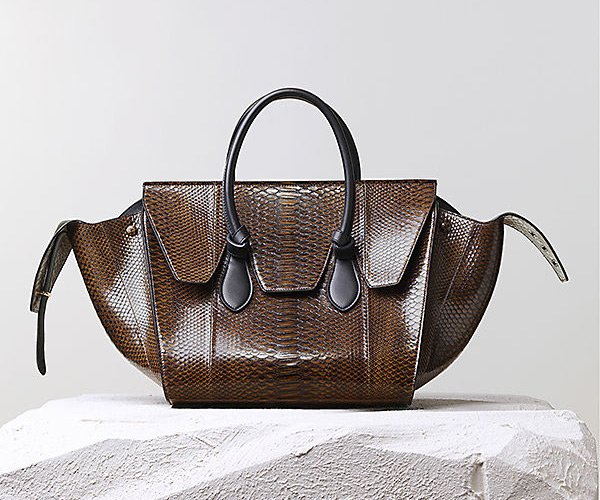 Celine-Tie-Handbag-Khaki-Python