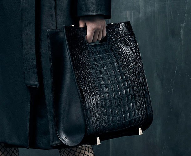 Alexander-Wang-Fall-Winter-2015-Bag-Ad-Campaign-2