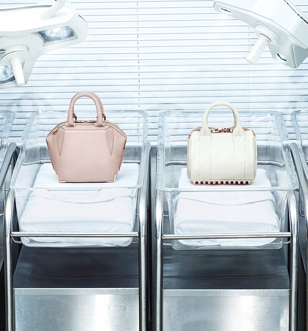 Alexander-Wang-Mini-Bags