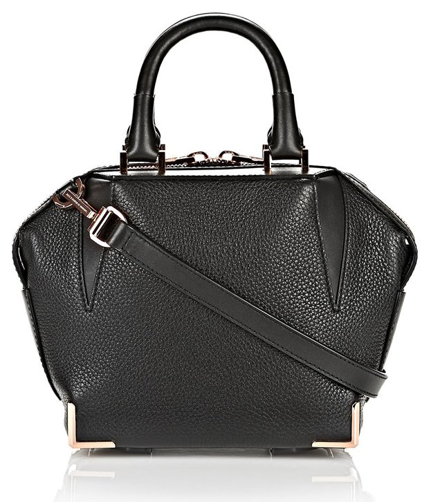 Alexander-Wang-Mini-Emile-Bag