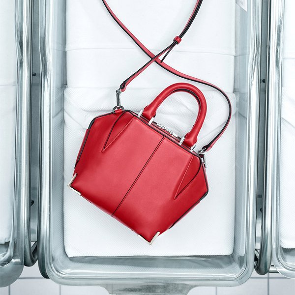 Alexander-Wang-Mini-Emile-Bag-4