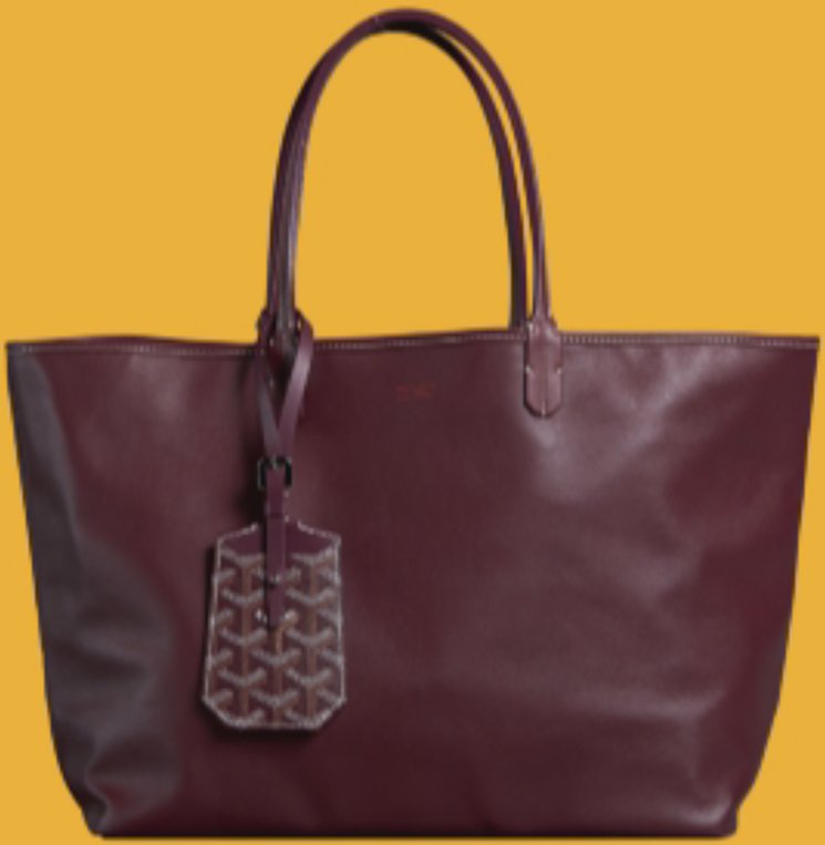 Goyard-Anjou-Reversible-Tote-Bag-11