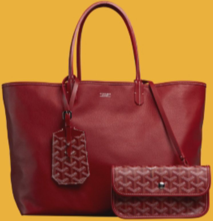 Goyard-Anjou-Reversible-Tote-Bag-18