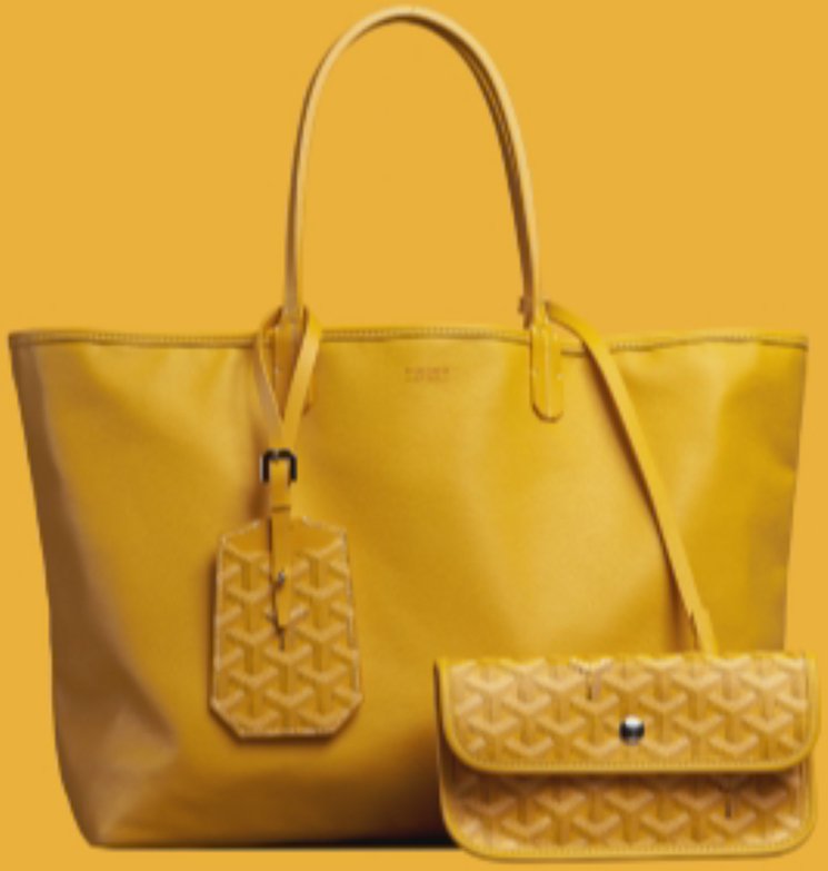 Goyard-Anjou-Reversible-Tote-Bag-19