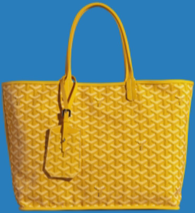 Goyard-Anjou-Reversible-Tote-Bag-21