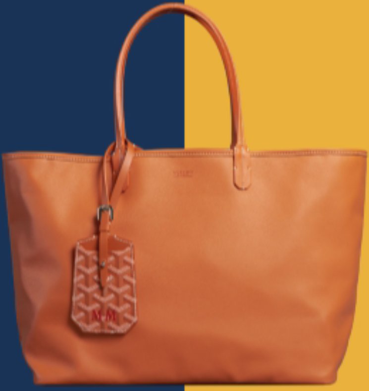 Goyard-Anjou-Reversible-Tote-Bag-3