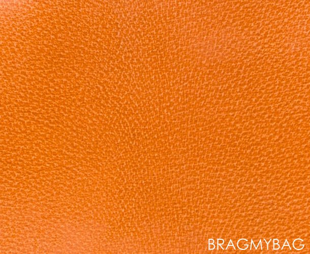 Hermes-PEAU-PORC-Leather