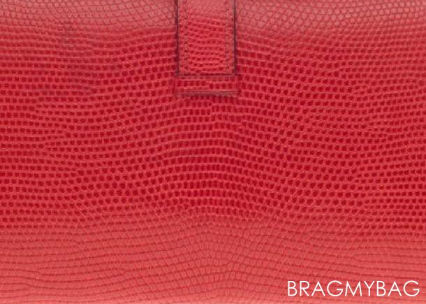 Hermes-VARANUS-NILOTICUS-Leather