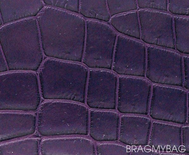 hermes-crocodylus-niloticus-matte-leather