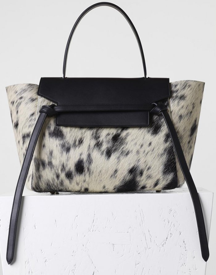 Celine-Pre-Fall-2015-Bag-Collection-20