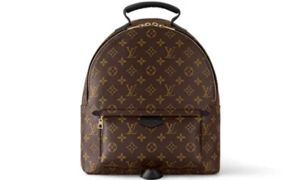 Louis Vuitton Palm Springs MM Backpack in Monogram Canvas Featured image