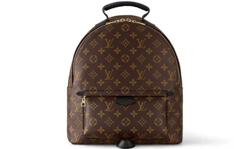 Louis Vuitton Palm Springs MM Backpack in Monogram Canvas Featured image