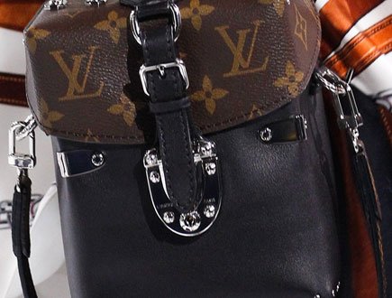 Louis Vuitton Fall Winter 2016 Bag Runway Bag Collection thumb