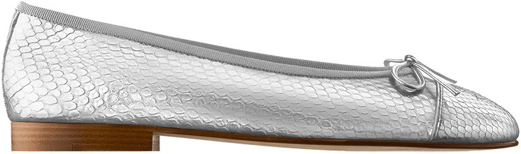 Chanel-Mirror-Python-Silver-Ballerinas