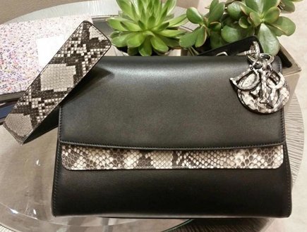 Be Dior Python Double Flap Bag thumb