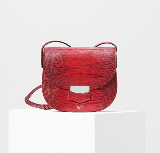 Celine-Trotteur-Bag-9