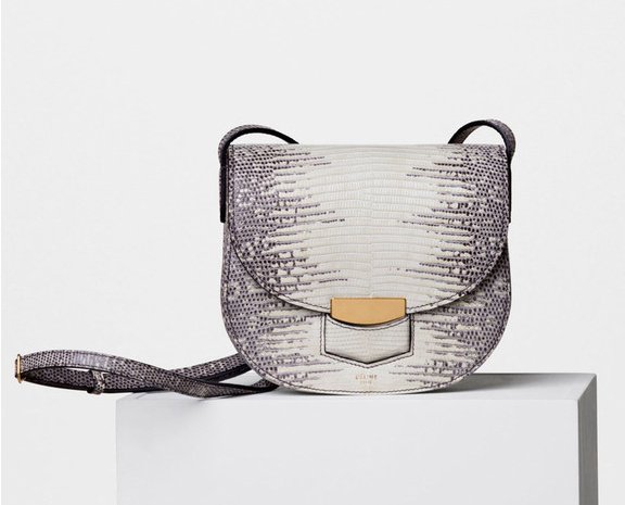 Celine-Trotteur-Bag-in-Exotic-Leathers-3