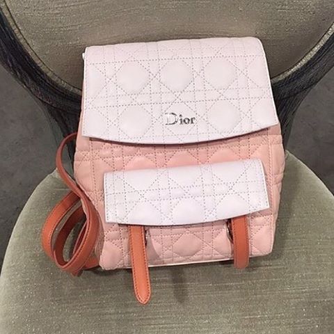 Dior-Cannage-Stiched-Flower-Backpack-Bicolor