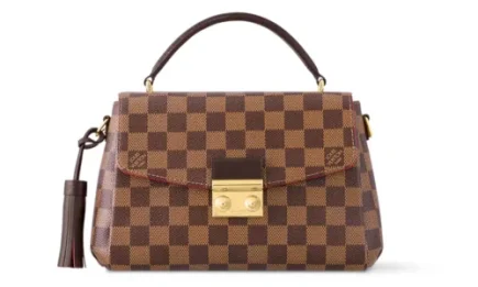 Louis Vuitton Croisette Bag in Damier Ebene Canvas Featured image