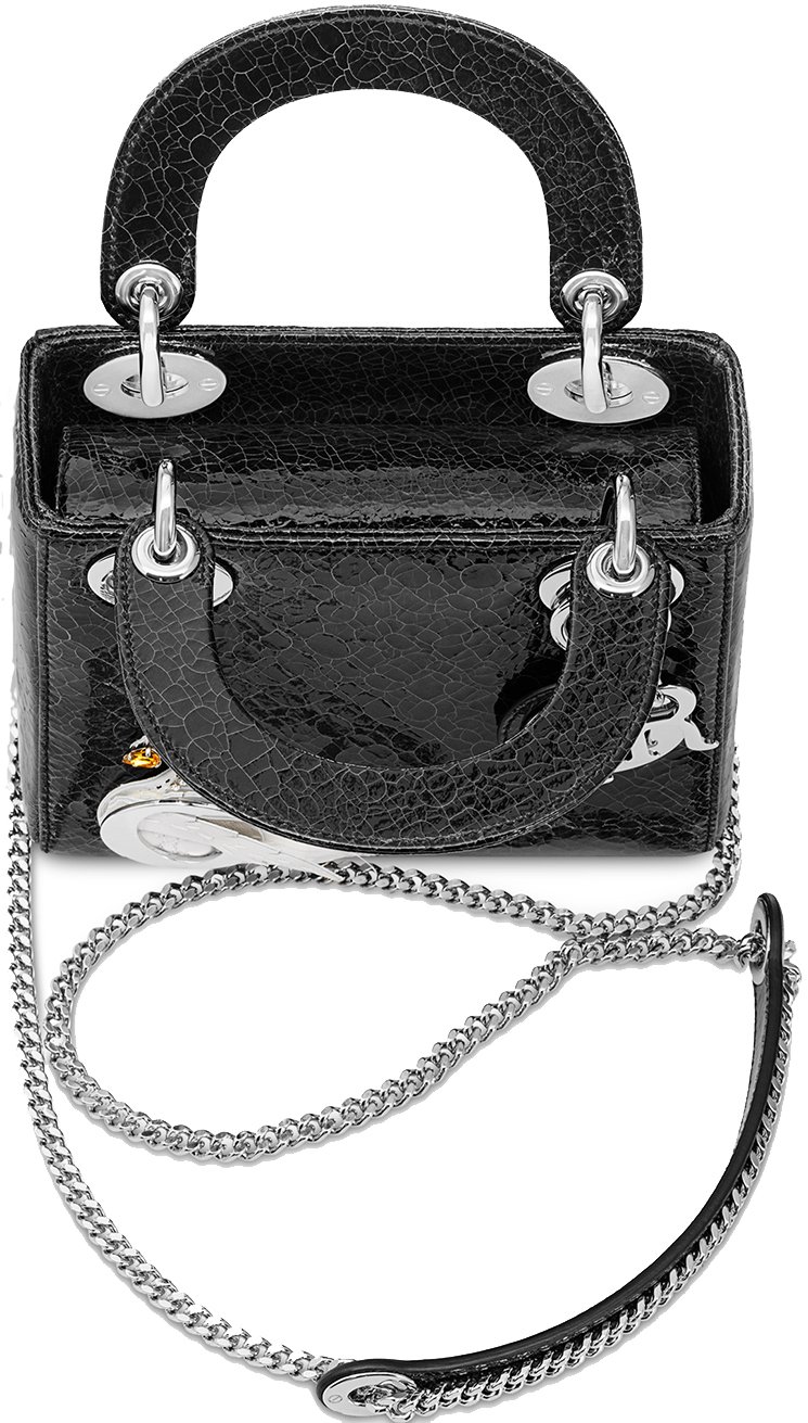 Lady-Dior-Jewelled-Swan-Bag-3