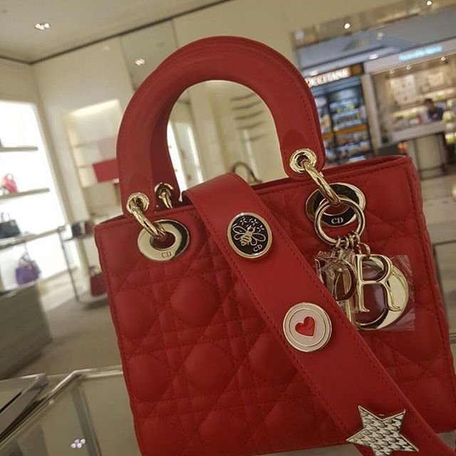 a-closer-look-my-lady-dior-bag-and-lucky-badges-6