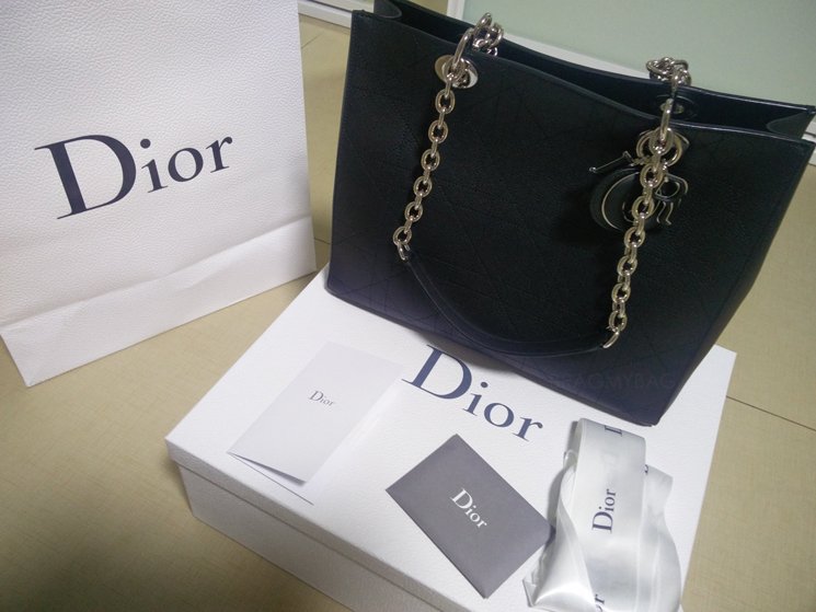 dior-ultradior-bag