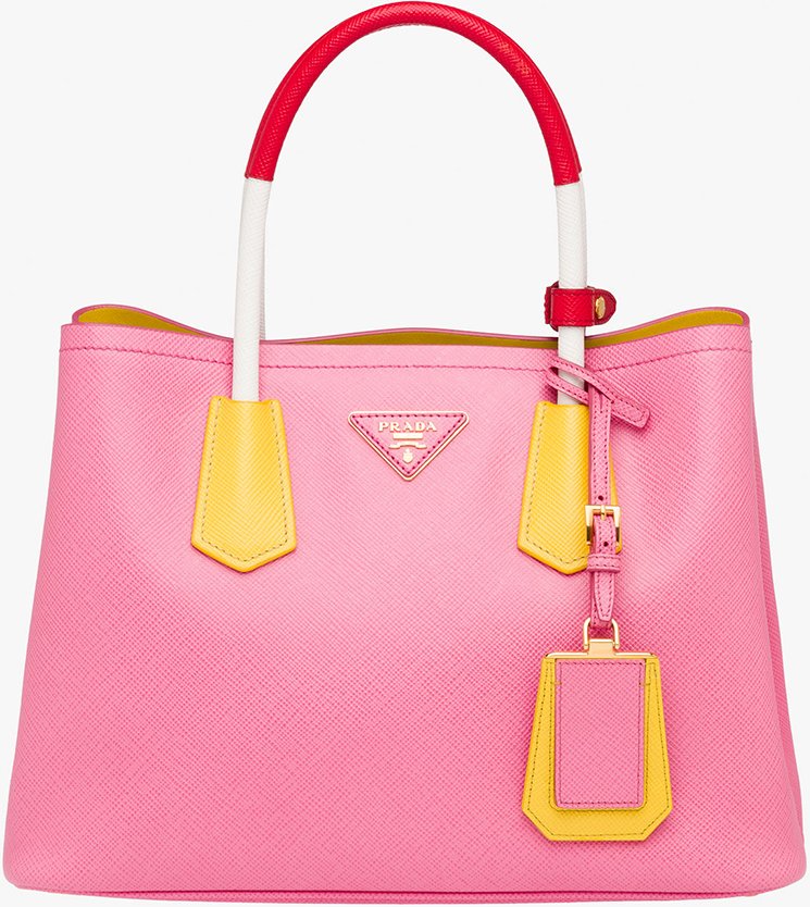 Prada-Multicolor-Double-Bag