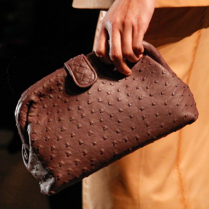 Bottega-Veneta-Spring-Summer-2017-Runway-Bag-Collection-15