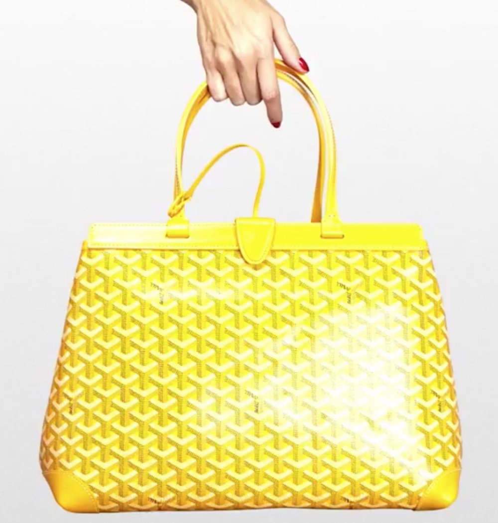 Goyard-Bellechasse-Biaude-Bag-18