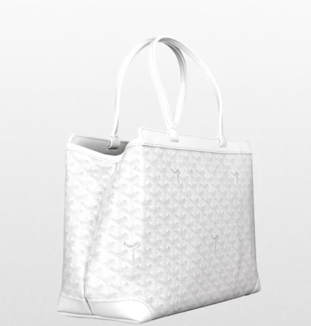 Goyard-Bellechasse-Biaude-Bag-3