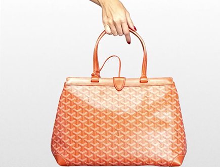 Goyard Bellechasse Biaude Bag thumb 2