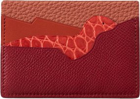 Hermes-Histoire-Naturelle-Card-Holders-16