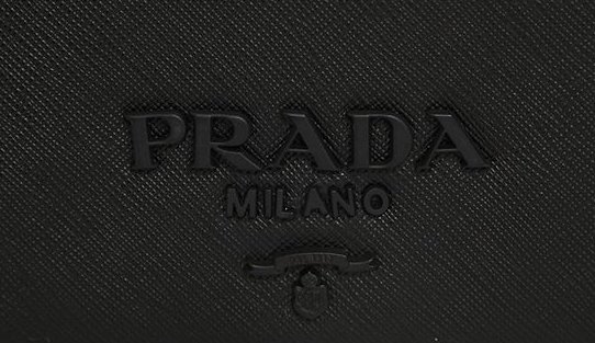 Prada-Monogramme-Shoulder-Bag-11