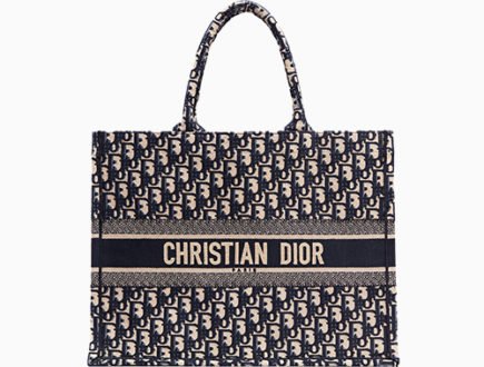 Dior Book Tote Bag thumb