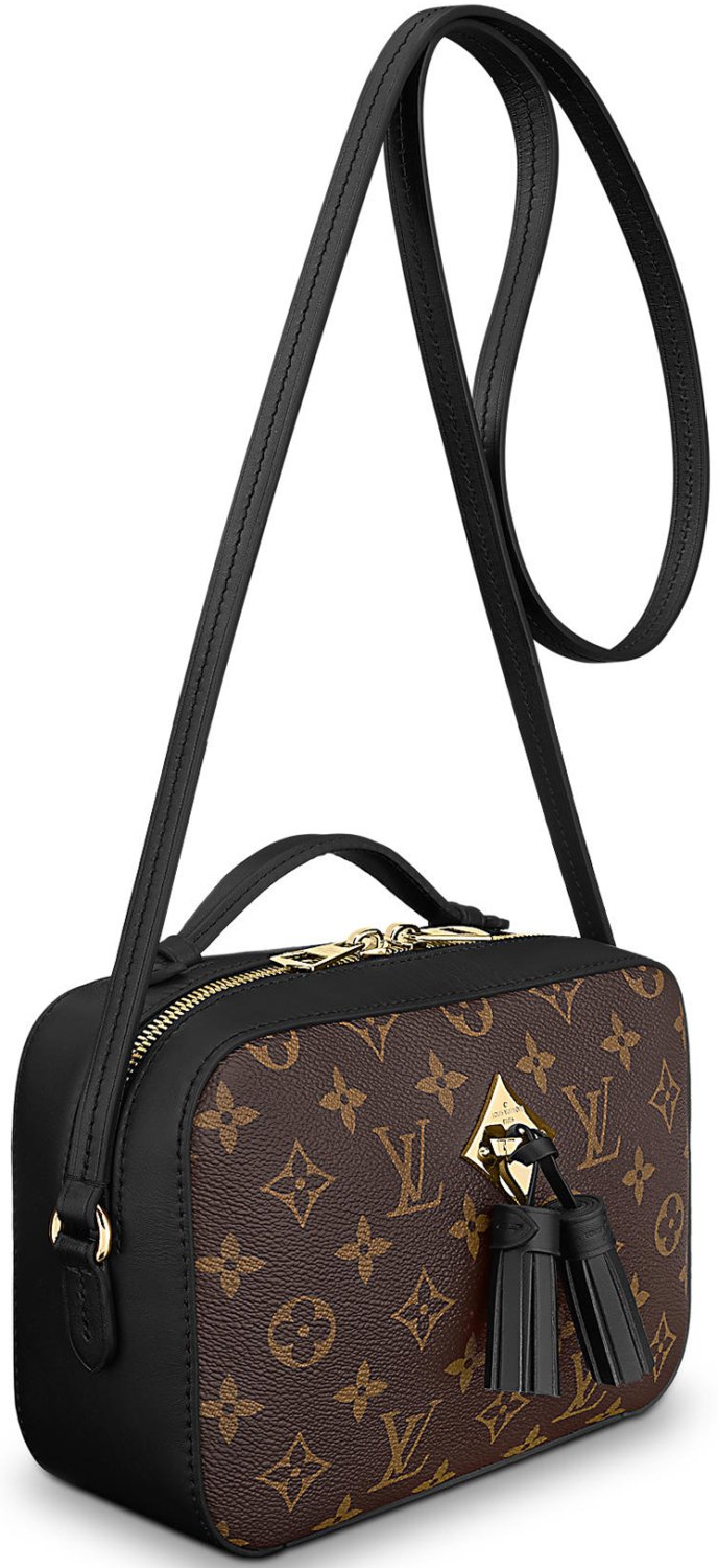 Louis-Vuitton-Saintonge-Bag-2