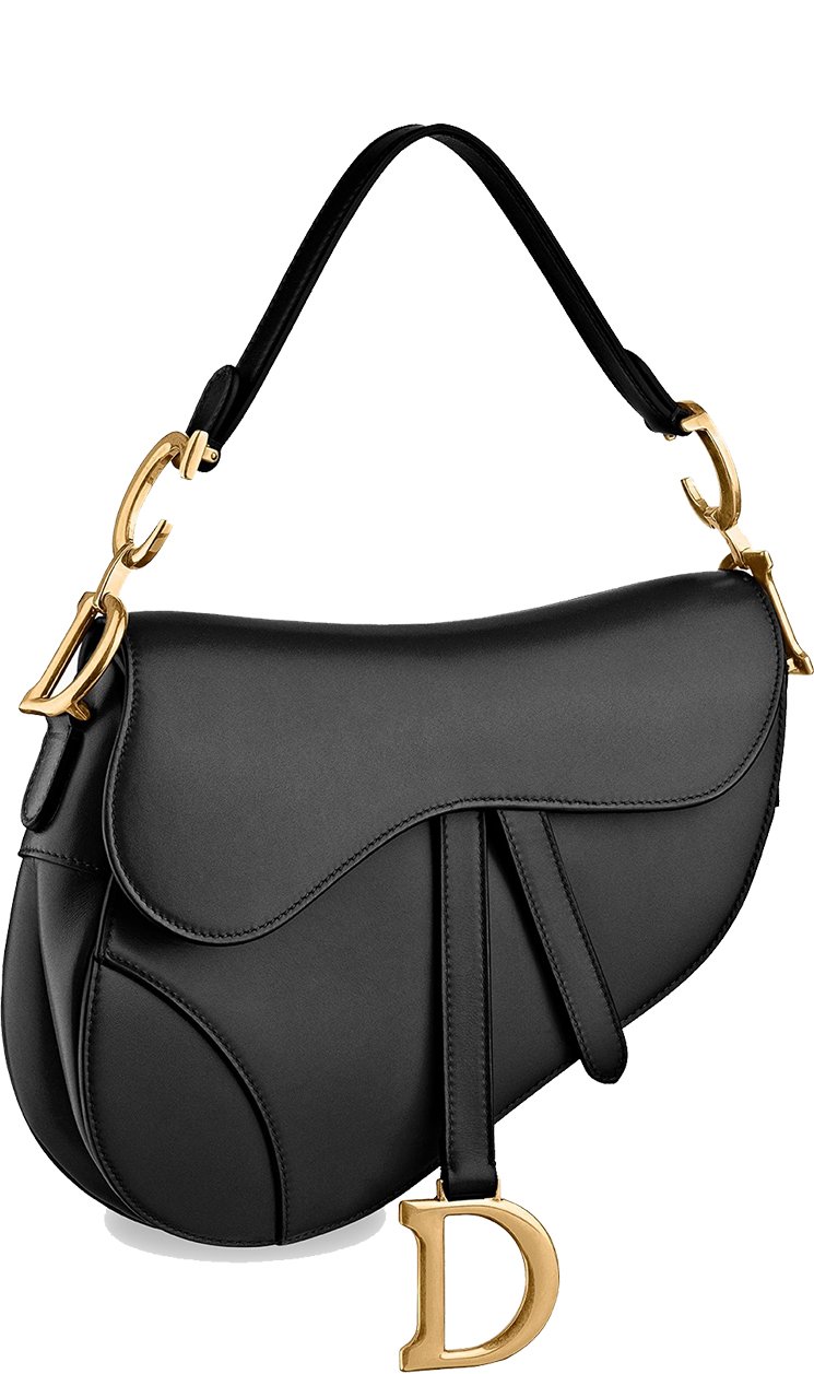 Dior-Mini-Saddle-Bag-5