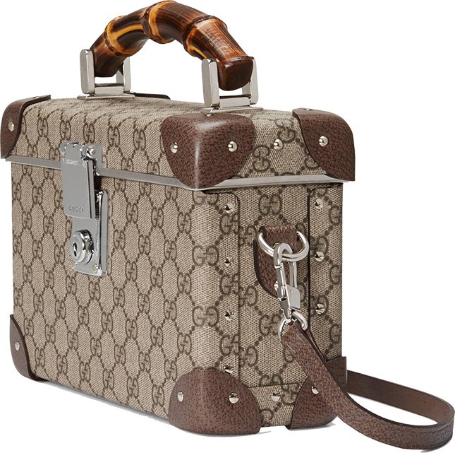 Gucci Globe Trotter GG Beauty Case 2