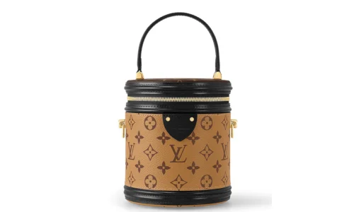 Louis Vuitton Cannes Monogram Reverse Canvas Bag Featured Image