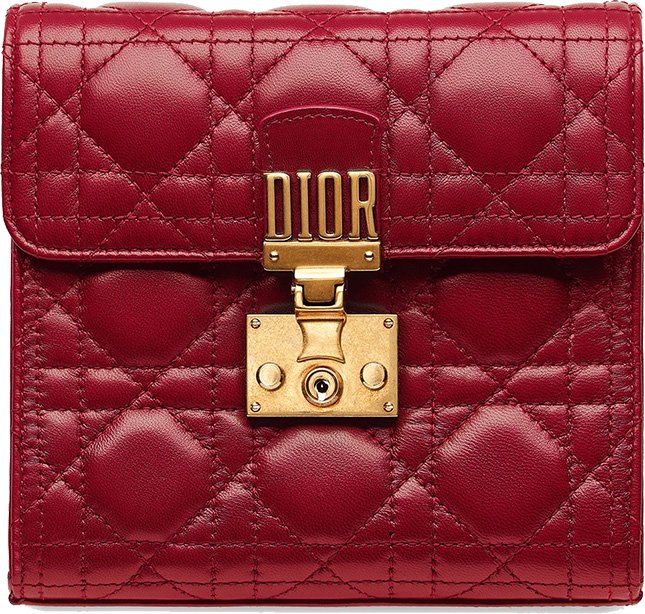 Dioraddict Clutches 5