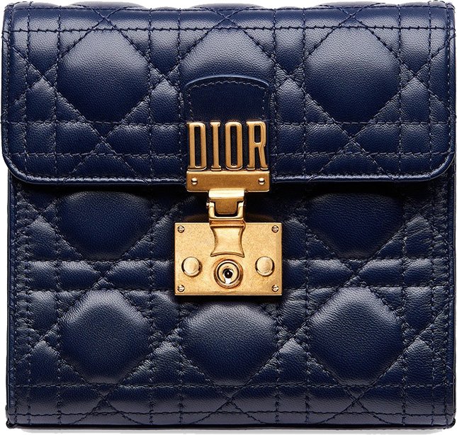 Dioraddict Clutches 6