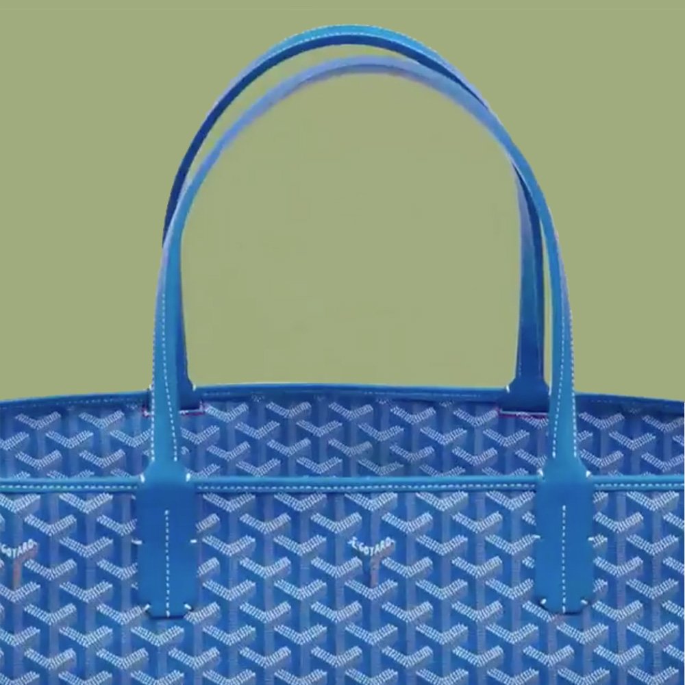 Goyard Artois Travel GM Bag 2