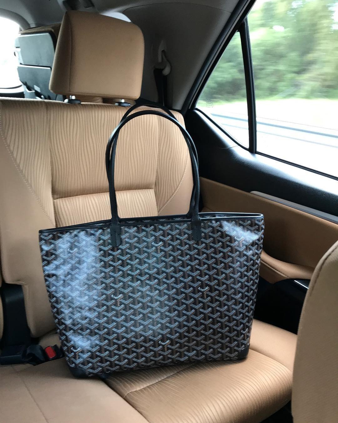 Goyard Artois Travel GM Bag 4