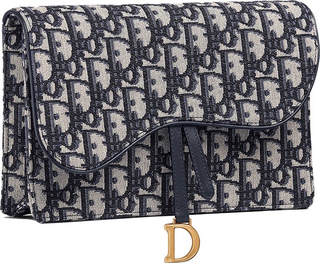 Dior Saddle Clutch 2