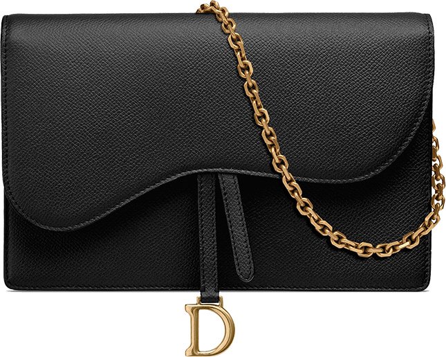 Dior Saddle Clutch 5