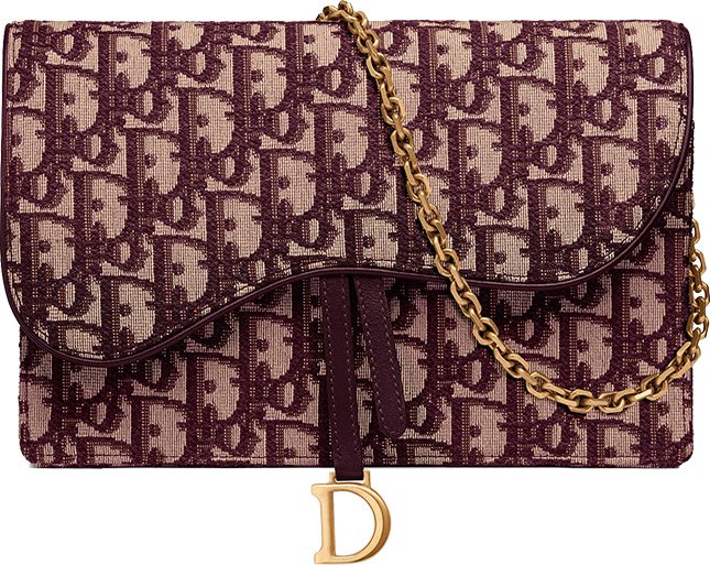 Dior Saddle Clutch 6