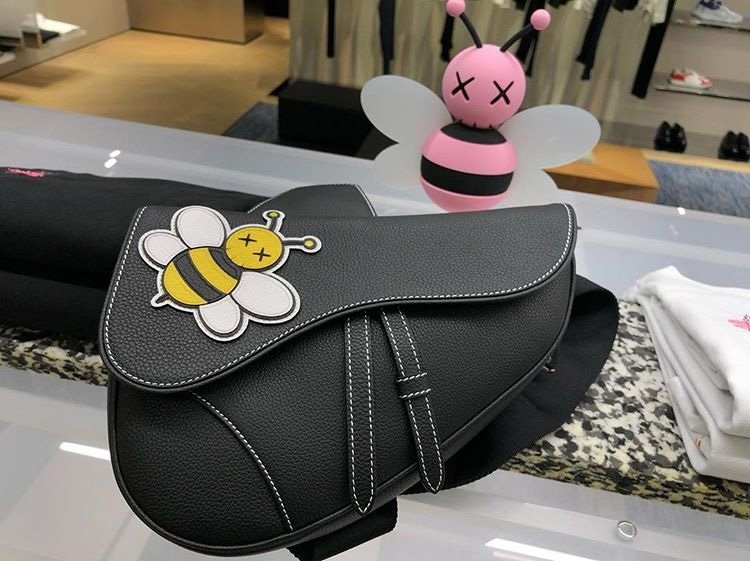 Dior x Kaws Saddle Bag