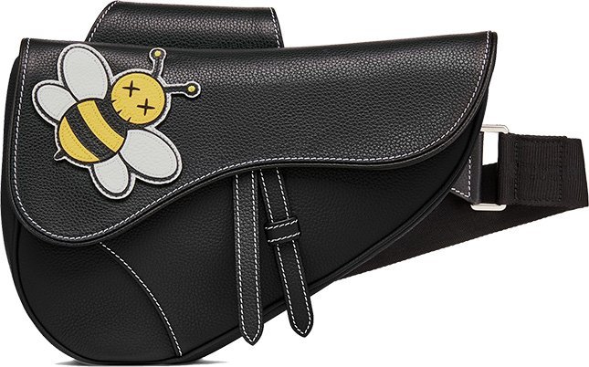 Dior x Kaws Saddle Bag