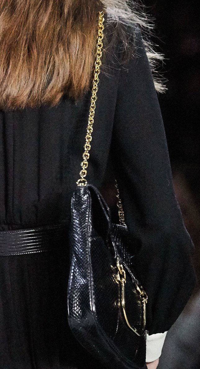 Celine Fall Bag Preview